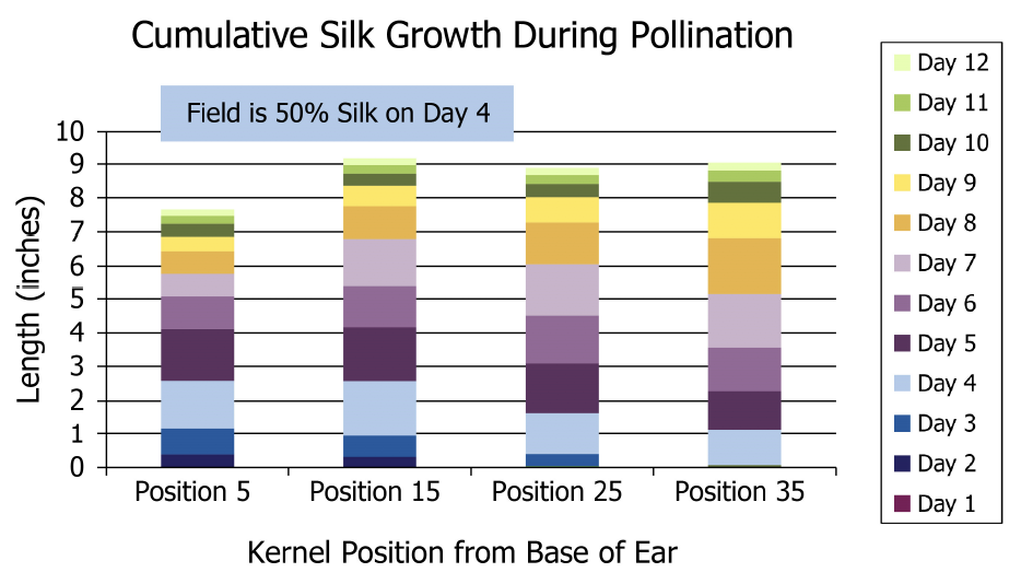 Cumulative Silk Growth