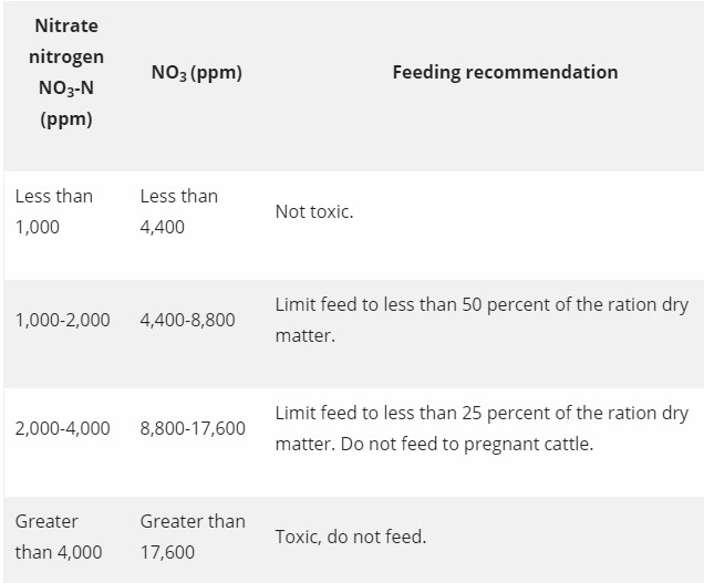 Nitrate Levels and feeding recommendations