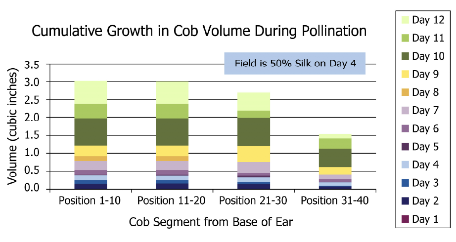 Cumulative Growth