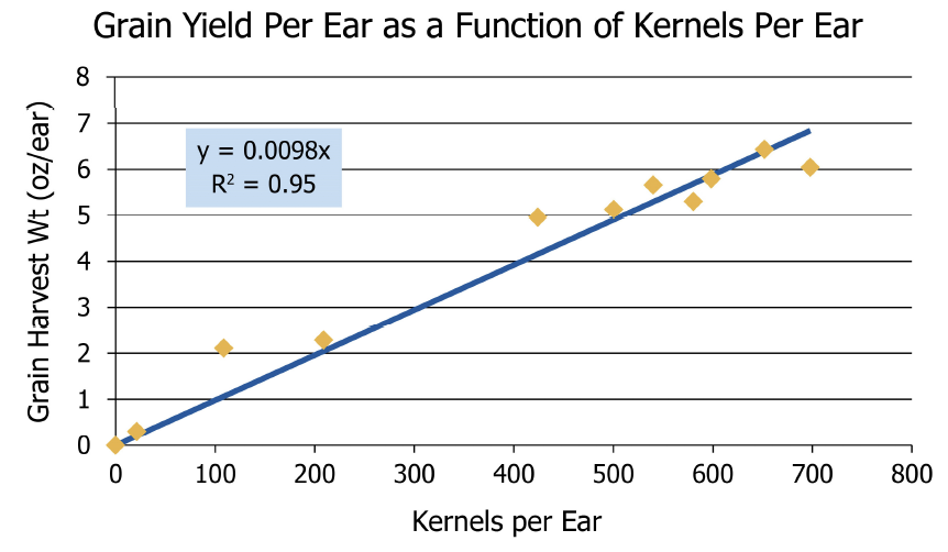 Grain Yield Per Ear