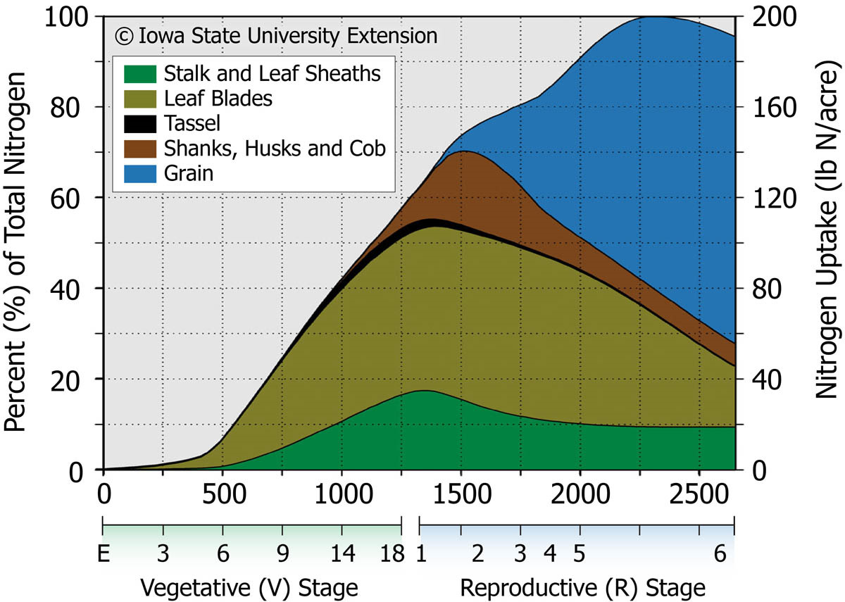 Notrogen Uptake chart