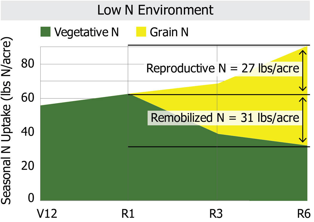 Nitrogen Uptake