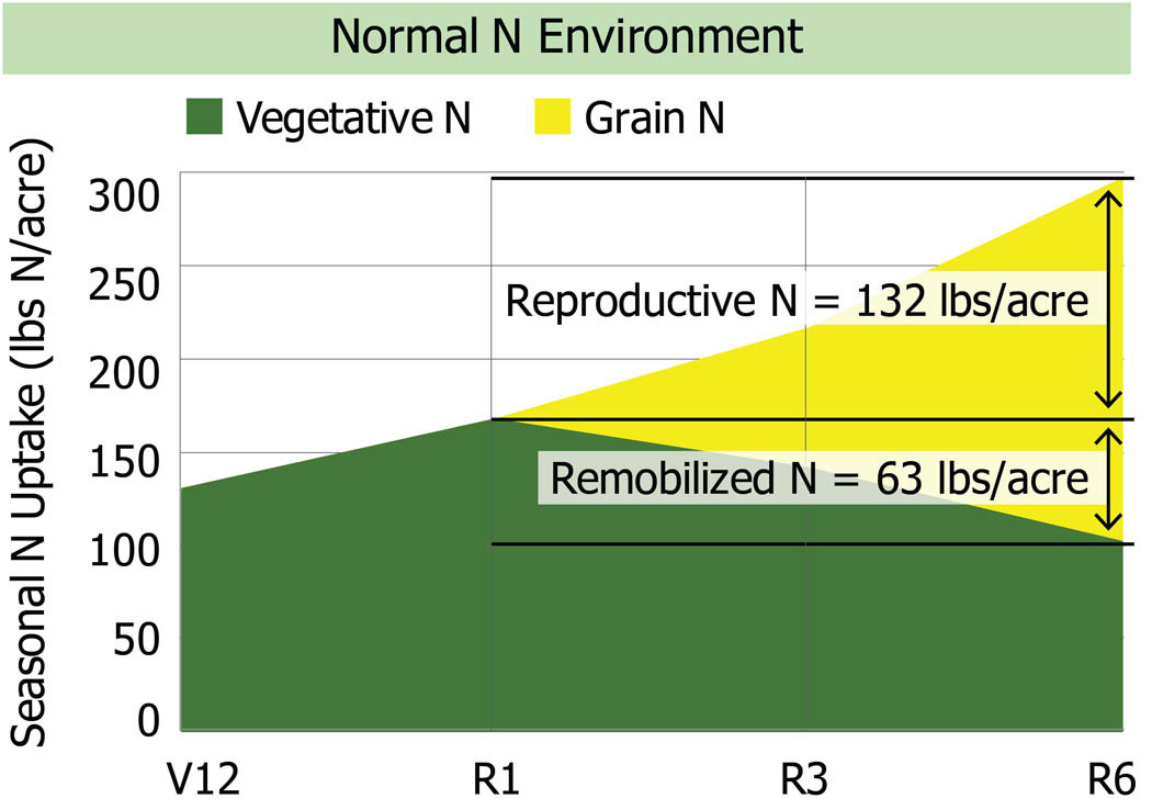 Nitrogen Uptake