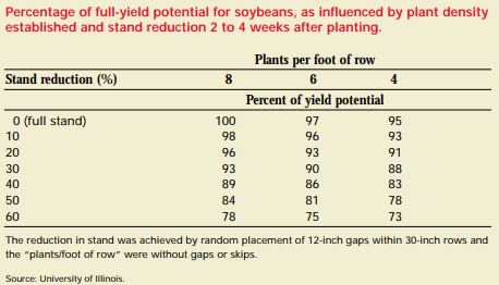 Soybean Chart