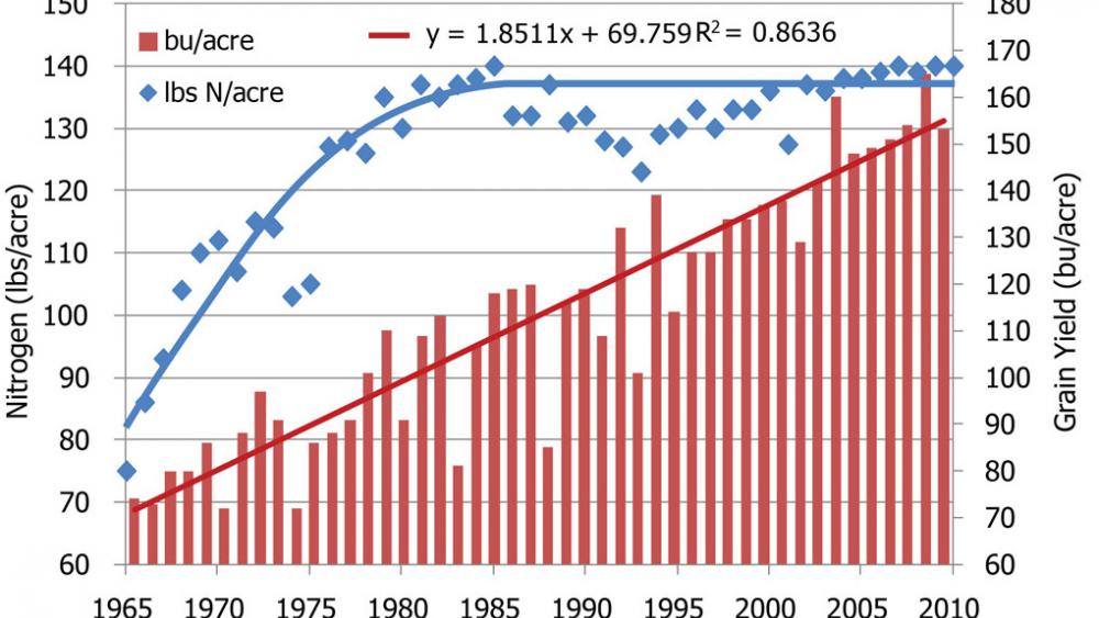 Nitrogen Uptake